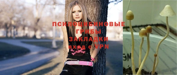 мдпв Нязепетровск