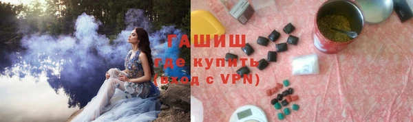 шишки Осташков