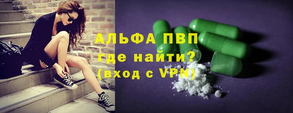 шишки Осташков
