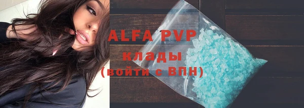 ГАЛЛЮЦИНОГЕННЫЕ ГРИБЫ Осинники