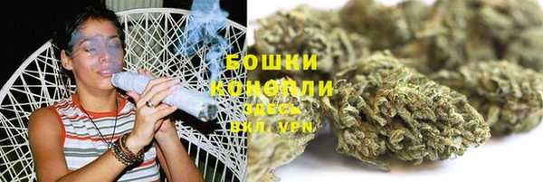 ГАЛЛЮЦИНОГЕННЫЕ ГРИБЫ Осинники