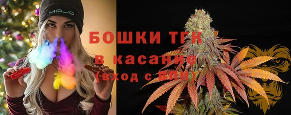 шишки Осташков