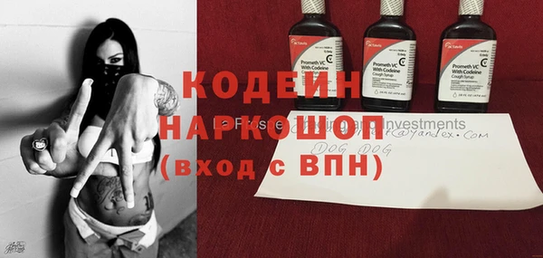 шишки Осташков