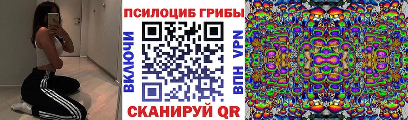 Псилоцибиновые грибы MAGIC MUSHROOMS Тула