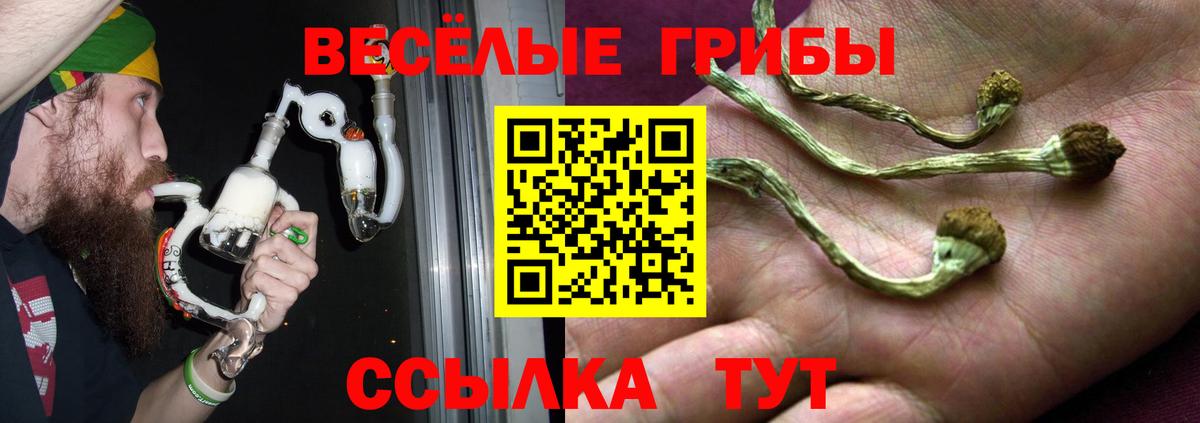 Тула  Галлюциногенные грибы GOLDEN TEACHER  Вход с VPN 